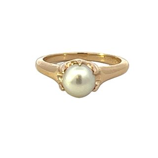 14 Karat Yellow Gold Ring Set With One 6.5Mm 1/2 Drilled Akoya Pearl C