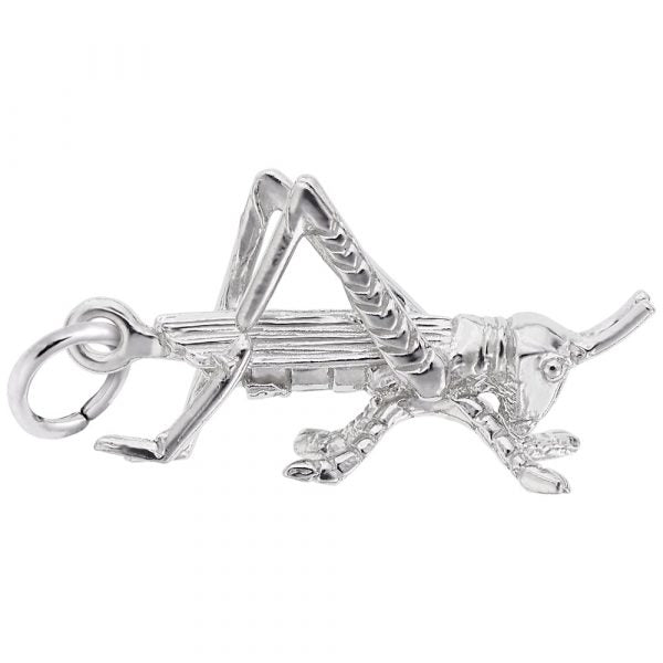 Sterling Silver Cricket Charm